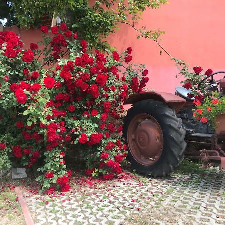 Agriturismo Mulino Bianco Lonato Eksteriør billede