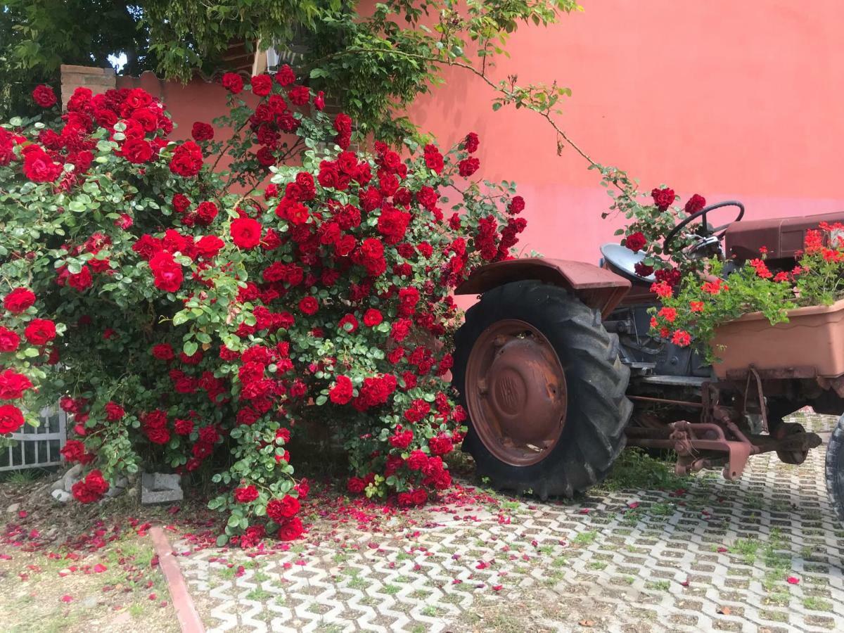 Agriturismo Mulino Bianco Lonato Eksteriør billede